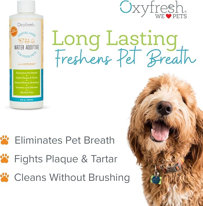 Oxyfresh Premium Pet Dental Care Solution Pet Water Additive: Best Way to Eliminate Bad Dog Breath and Cat Bad Breath - Fights Tartar &amp; Plaque - So Easy, Just Add to Water! Vet Recommended 128 oz.