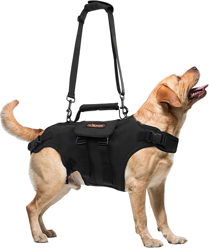 Dog Lift Harness, Full Body Support with Adjustable Control Handle for Senior Dogs, Post-Surgery Recovery &amp; Joint Problems (Oxford Cloth, Custom Size)