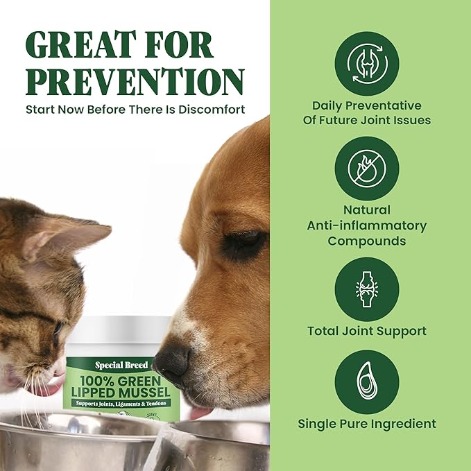 Green Lipped Mussel Powder for Dogs &amp; Cats - 100% New Zealand Green Lipped Mussels - Natural Hip &amp; Joint Supplement for Joints, Tendons, Ligaments, Muscles - 75 Grams - Up to 250 Servings