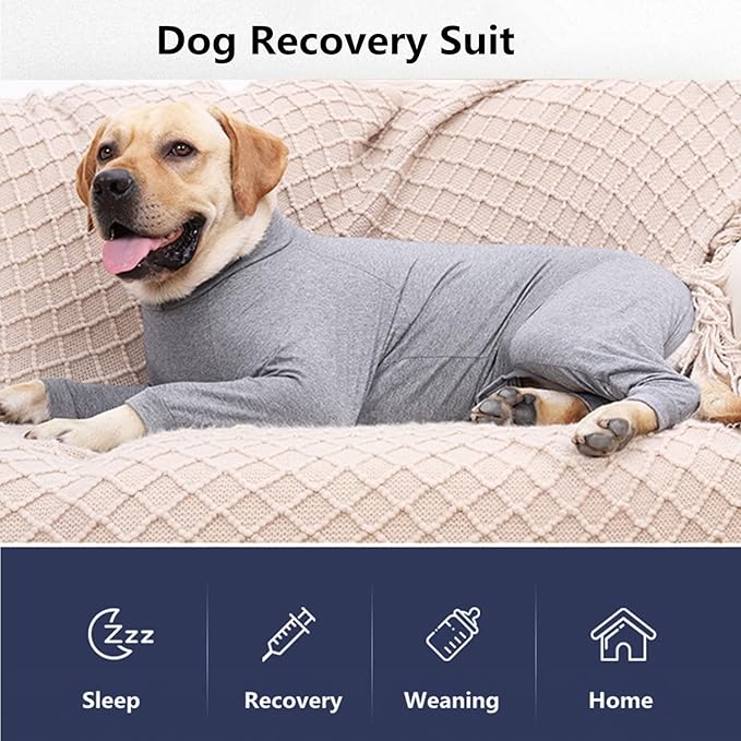 Dog Recovery Suit, Abdominal Wound After Surgery Wear, Prevent Licking Wounds, E-Collar &amp; Cone Alternatives, Long Sleeve Postoperative Shirts Dog Bodysuit Prevent Shedding(Medium, Grey)
