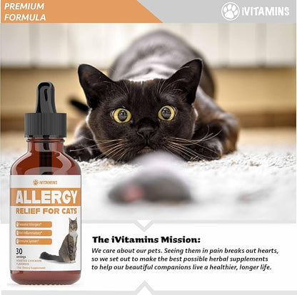 Allergy Relief for Cats | Helps to Naturally Support Allergy &amp; Itch Relief for Cats | Cat Allergy | Cat Itch Relief | Cat Itchy Skin Relief | Cat Allergy Relief for Cats | Cat Supplements &amp; Vitamins