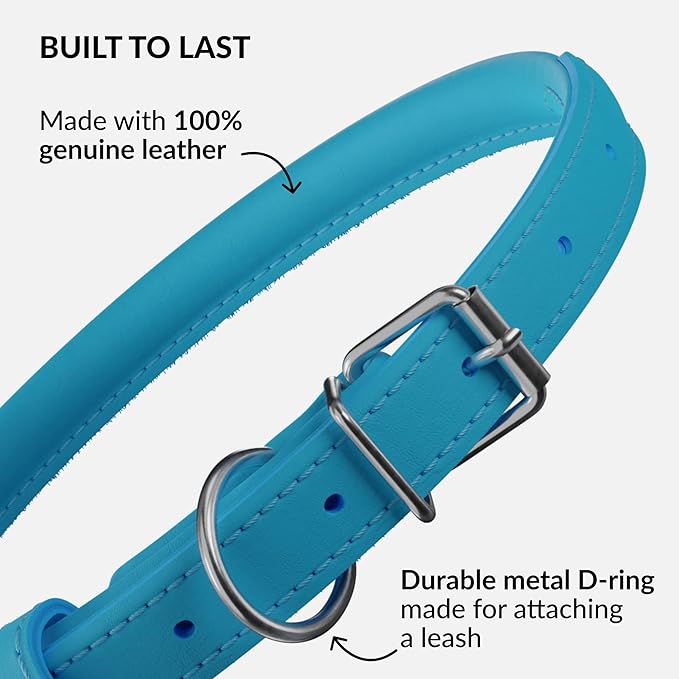 CollarDirect Rolled Leather Dog Collar, Soft Padded Round Puppy Collar, Handmade Genuine Leather Collar Dog Small Large Cat Collars 13 Colors (13-16 Inch, Light Blue)