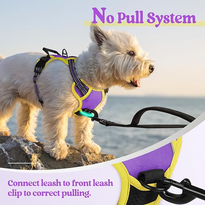 rabbitgoo Dog Harness No Pull with 2 Leash Clips, Adjustable Soft Padded, Reflective Oxford No Choke Pet Vest with Easy Control Handle for Puppy, Purple &amp; Yellow, XS