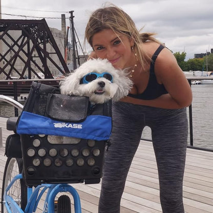 BiKASE Durable Dog Bike Basket &amp; Carrier, Rear Mount Pet Basket for Bikes with Super Comfort Mat and Cover, Ideal for Small Dogs and Cats up to 12 lbs