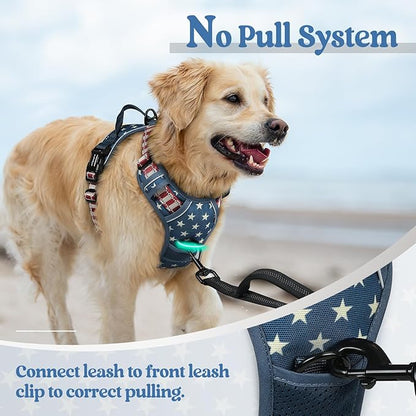 rabbitgoo Dog Harness No Pull with 2 Leash Clips, Adjustable Soft Padded, Reflective Oxford No Choke Pet Vest with Easy Control Handle for Large Dogs, Blue Star, S