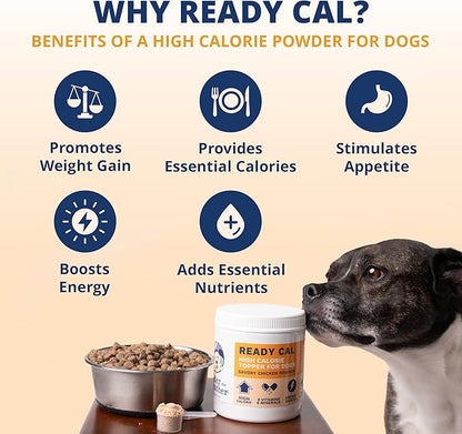Under the Weather Ready Cal Powder for Dogs, High-Calorie Weight Gainer &amp; Appetite Stimulant, Dog Energy Booster Veterinarian-Approved Pet Supplement with Vitamins &amp; Minerals, Chicken Flavor |10.58 oz