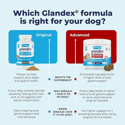 Glandex Dog Fiber Supplement Powder for Anal Glands with Pumpkin, Digestive Enzymes &amp; Probiotics - Vet Recommended (Regular or Advanced Strength) - Boot The Scoot (5.5 oz, Vegan Salmon)