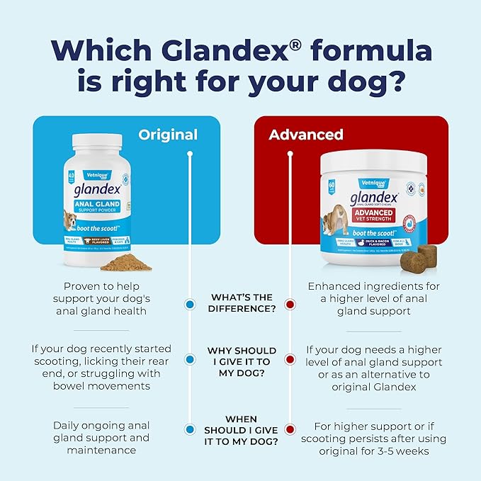 Vetnique Labs Glandex Dog Fiber Supplement Powder for Anal Glands with Pumpkin, Digestive Enzymes &amp; Dog Probiotics for Digestive Health - Vet Recommended - Boot The Scoot (Beef Liver, 2.5oz Powder)
