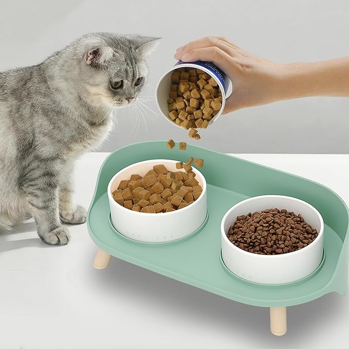 Elevated Dog Bowls Set, Ceramic Pet Food &amp; Water Bowls with Non-Slip Stand, No Spill Design for Cats/Small Medium Dogs Green