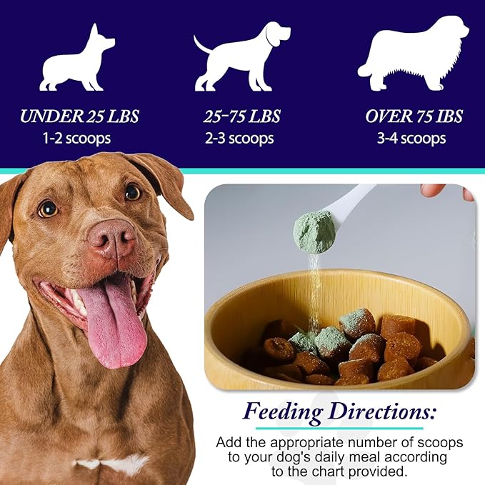 Dog Teeth Cleaning Powder - Dog Dental Powder - Plaque Off Pet Tooth Cleaning lab co - Targets Tartar &amp; Reduces Plaque &amp; Bad Breath - Teeth Cleaning Made Easy