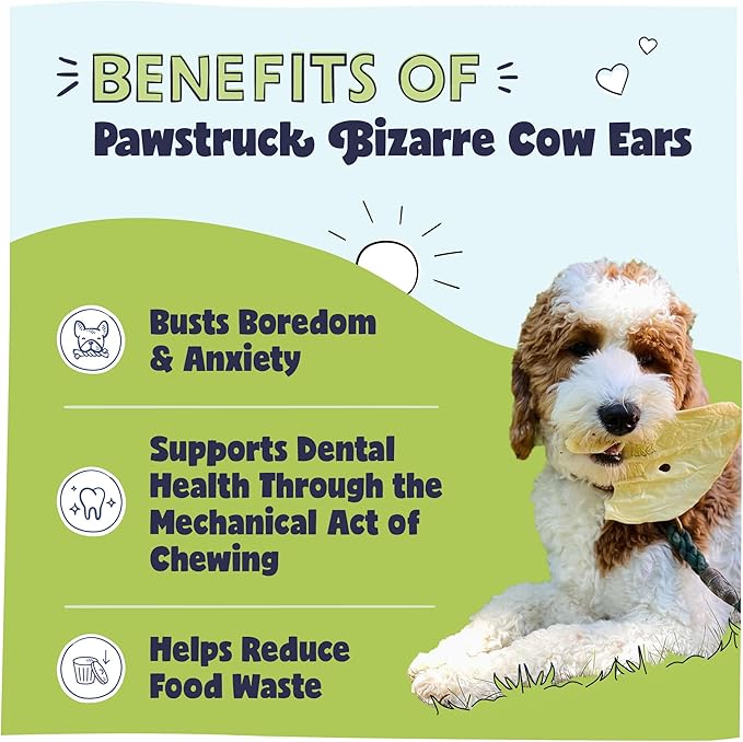 Pawstruck Natural Bizarre Cow Ears Bargain Bag – Rawhide-Free, Highly Digestible, Low Calorie &amp; Long-Lasting Chew Treat for All Breeds – 1.5 lb Bag