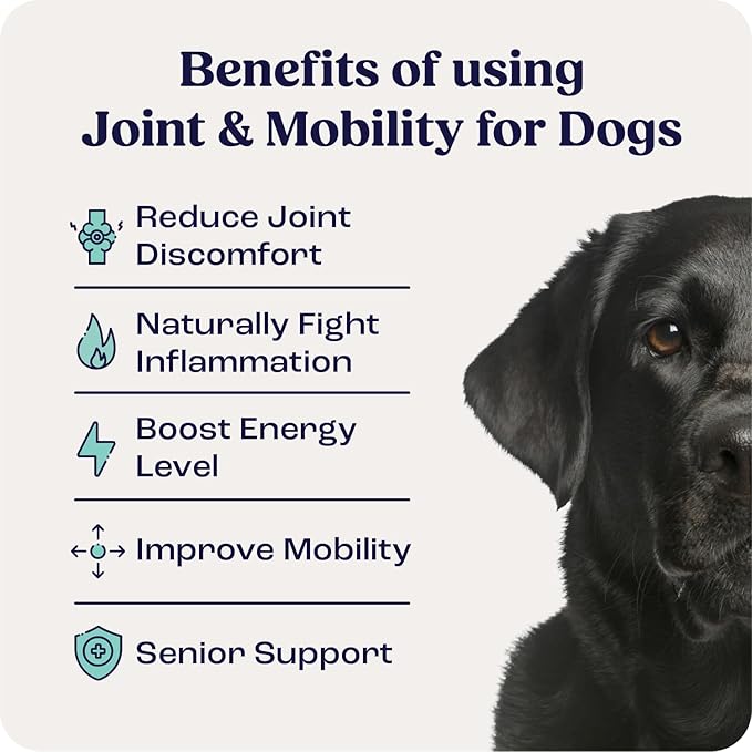 Summit Canine Joint and Mobility Supplement for Large Dogs, All Natural Liquid Chondroitin with Liposomal Delivery for Arthritis, Hip &amp; Joint Support Vitamin, (Dogs 75+lbs)