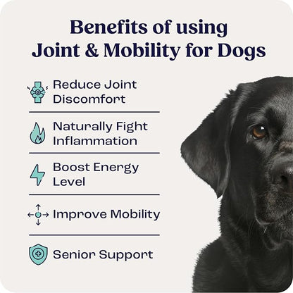 Summit Canine Joint and Mobility Supplement for Large Dogs, All Natural Liquid Chondroitin with Liposomal Delivery for Arthritis, Hip &amp; Joint Support Vitamin, (Dogs 75+lbs)