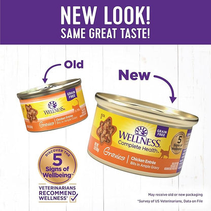 Wellness Complete Health Gravy Adult Wet Cat Food, Natural, Protein-Rich, Grain Free, 3 Ounce, 12 Pack, (Chicken Dinner)