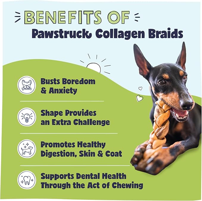 Pawstruck Natural 5-7” Beef Collagen Braids for Dogs – Long-Lasting Rawhide &amp; Bully Stick Alternative, with Chondroitin &amp; Glucosamine – 5 Pack