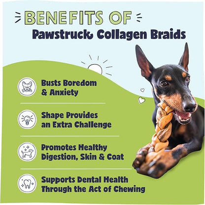 Pawstruck Natural 5-7” Beef Collagen Braids for Dogs – Long-Lasting Rawhide &amp; Bully Stick Alternative, with Chondroitin &amp; Glucosamine – 5 Pack