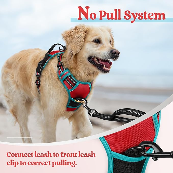 rabbitgoo Dog Harness No Pull with 2 Leash Clips, Adjustable Soft Padded, Reflective Oxford No Choke Pet Vest with Easy Control Handle for Small Dogs, Red &amp; Teal, S