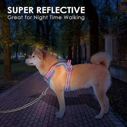 PHOEPET No Pull Dog Harness, Unique Colors Reflective Adjustable Dog Vest, with Soft Training Handle Metal Clips for Small Medium Large Dogs (Baby Blue Base &amp; Pink Straps,M)