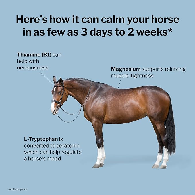 Formula 707 Calming Equine Supplement, Daily Fresh Packs – Anxiety Relief and Enhanced Focus for Horses – L-Tryptophan, Thiamine &amp; Magnesium