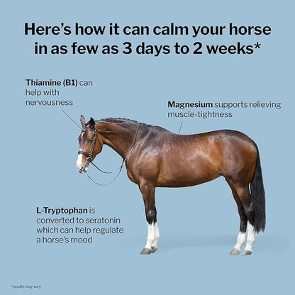 Formula 707 Calming Equine Supplement, Daily Fresh Packs – Anxiety Relief and Enhanced Focus for Horses – L-Tryptophan, Thiamine &amp; Magnesium