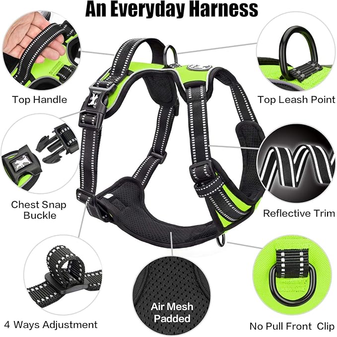 PoyPet No Pull Dog Harness, Reflective Comfortable Vest Harness with Front &amp; Back 2 Leash Attachments and Easy Control Handle Adjustable Soft Padded Pet Vest for Small to Large Dogs (Green,XL)