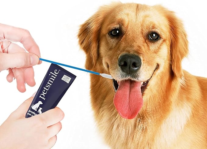 Petsmile Professional Pet Toothpaste Applicator Swabs - Cat &amp; Dog Toothbrush Alternative - Dental Care for Small &amp; Large Pets - Cat &amp; Dog Teeth Cleaning - Dog Toothpaste Not Included (50 Swabs)