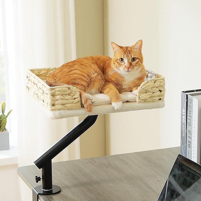 PAWZ Road Cat Desk Bed for Indoor Cats, Wicker Cat Bed for Desk Supports Up to 50 lbs, 360° Rotation &amp; Adjustable Soft Plush Cats Hammock for Desktop, White