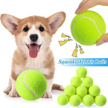 Skylety 100 Pcs 2.5 inch Squeaky Tennis Balls Bulk for Dogs Bouncy Floatable Tennis Balls Dog Playing Supplies Training Interactive Fetch Toys for Small Medium Puppy Exercise and Practice (Green)