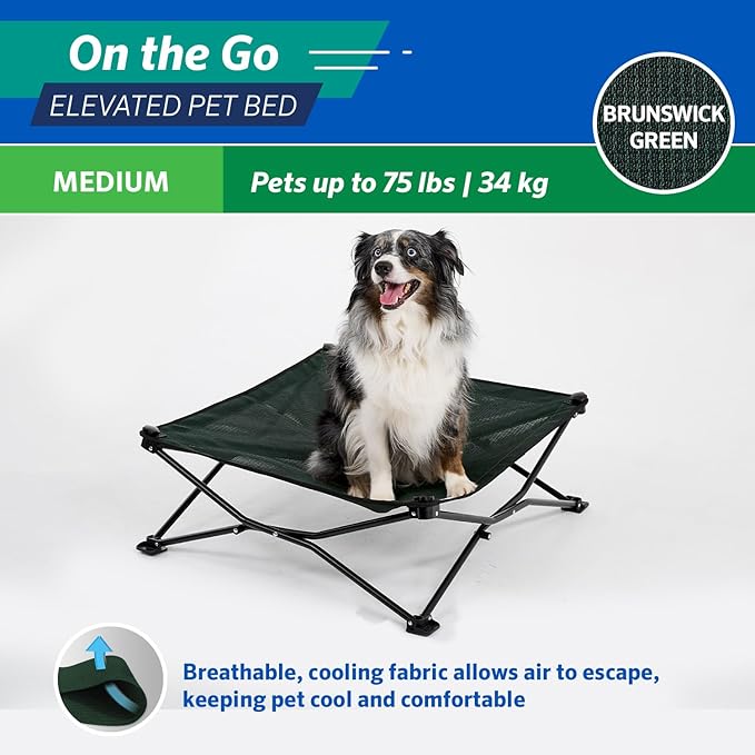 Coolaroo On-The-Go Elevated Dog Bed - Foldable Pop-Up Travel Dog Bed with Breathable, Moisture-Resistant Fabric, Carry Bag Included, Lightweight &amp; Portable, Brunswick Green, Medium