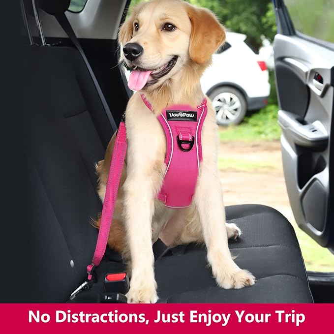 Dog Seat Belt Harness for Car, Dog Car Harness Adjustable Mesh Breathable &amp; Dog Seatbelt Safety Tether with Elastic Bungee for Small Medium Large Pets(Rose, XL)