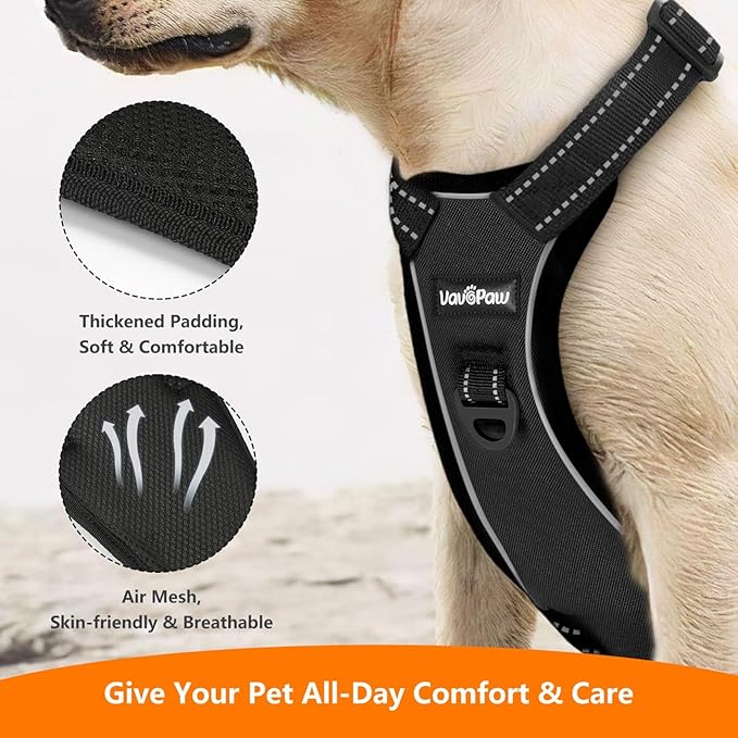 Dog Seat Belt Harness for Car, Dog Car Harness Adjustable Mesh Breathable &amp; Dogs Seatbelt Safety Tether with Elastic Bungee for Small Medium Large Pets(Carbon Black, M)