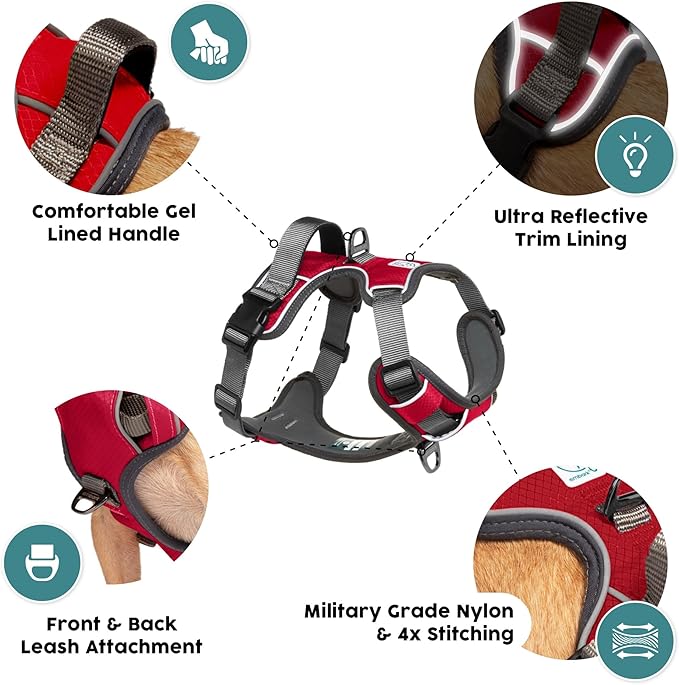 Embark Adventure Dog Harness, Reflective Trim No Pull Dog Harnesses for Small Sized Dogs - Military Grade Nylon, Front Clip with Gel Lined Handle. Soft &amp; Padded Puppy