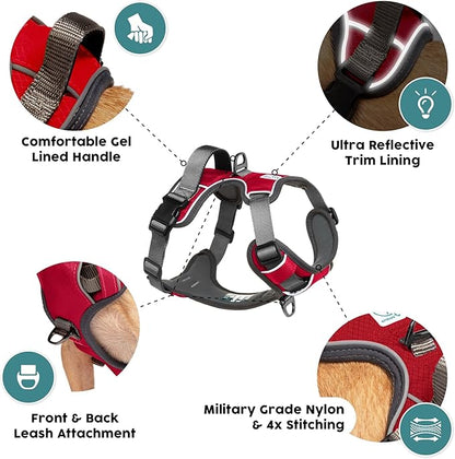 Embark Adventure Dog Harness, Reflective Trim No Pull Dog Harnesses for Small Sized Dogs - Military Grade Nylon, Front Clip with Gel Lined Handle. Soft &amp; Padded Puppy