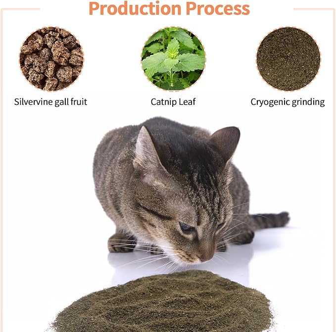 Catnip &amp; Silvervine Powder – 15g Blend of Silver Vine Gall Fruit &amp; Pure Catnip, Non-Addictive, Suitable for All Cat Ages, Multi-Play Use for Cat Toys, Scratchers &amp; Protecting Furniture