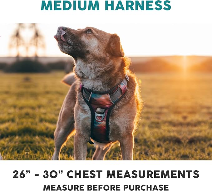 Embark Adventure Dog Harness, Reflective Trim No Pull Harness for Medium Sized Dog - Military Grade Nylon, Front Clip with Gel Lined Handle. Soft &amp; Padded Puppy
