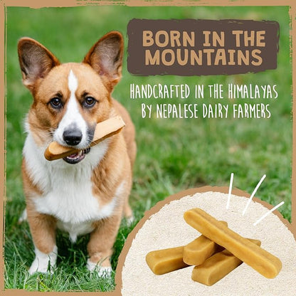 Mighty Paw Yak Cheese Chews for Dogs - All-Natural Long Lasting Pet Treats - Odorless Limited-Ingredient Chews for Puppies &amp; Power-Chewers (Medium, 4 Pack)
