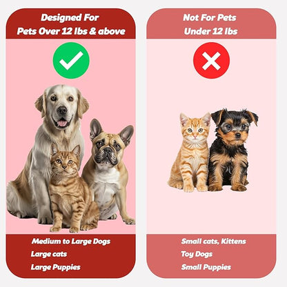 Pet Toothbrush for Dogs, Cats with Soft Bristles - Easy Teeth Cleaning &amp; Dental Care, Non Slip Dual Head Dog Toothbrush for Medium &amp; Large Pets, Toothpaste Not Included, Pack of 4(Multi)