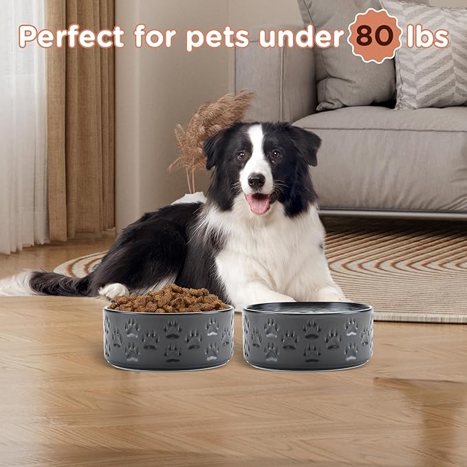 SPUNKYJUNKY Ceramic Dog Bowls 2 Pack, 7.3&
