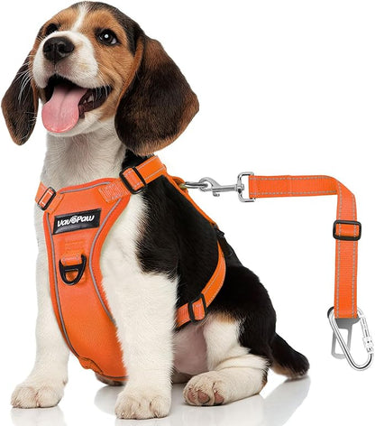 Dog Seat Belt Harness for Car, Dog Car Harness Adjustable Mesh Breathable &amp; Dogs Seatbelt Safety Tether with Elastic Bungee for Small Medium Large Pets(Orange, S)