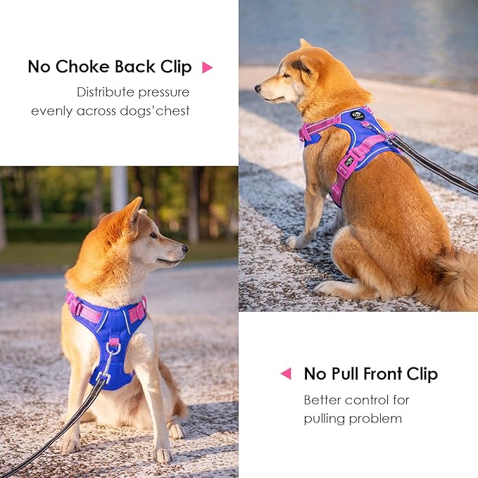 PHOEPET No Pull Dog Harness, Unique Colors Reflective Adjustable Dog Vest, with Soft Training Handle Metal Clips for Small Medium Large Dogs (Royal Blue Base &amp; Pink Straps,S)
