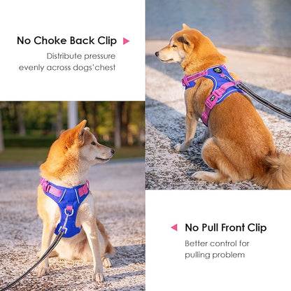 PHOEPET No Pull Dog Harness, Unique Colors Reflective Adjustable Dog Vest, with Soft Training Handle Metal Clips for Small Medium Large Dogs (Royal Blue Base &amp; Pink Straps,L)