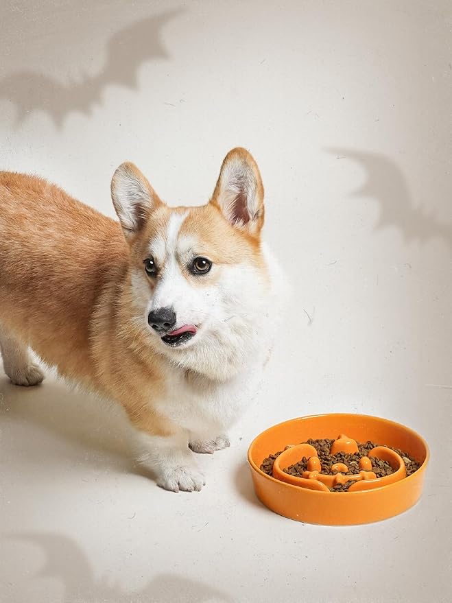 LE TAUCI Ceramic Puzzle Feeder Bowl Raised 1.5 Cup with Wood Stand for Small Medium Dog &amp; Puppy, Fast Eating Food Dish,Pumpkin Orange