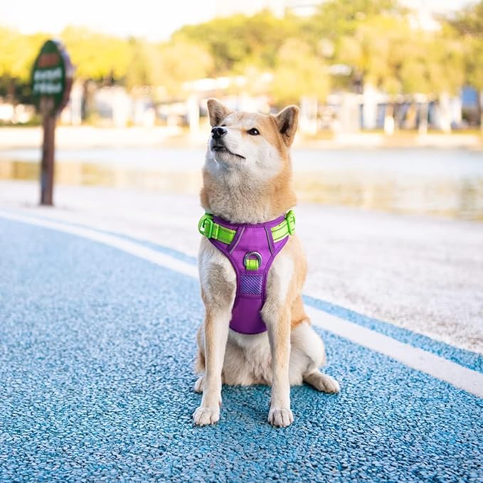 PHOEPET No Pull Dog Harness, Unique Colors Reflective Adjustable Dog Vest, with Soft Training Handle Metal Clips for Small Medium Large Dogs (Purple Base &amp; Green Straps,L)