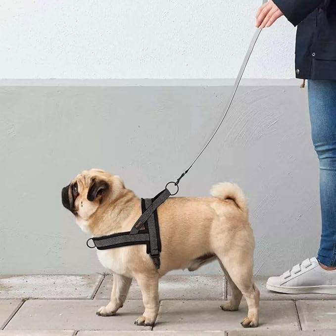 Didog No Pull Dog Harness with Breathable Mesh Padded, Full Reflective &amp; Quick Fit Adjustable Vest Harness, Easy for Training Walking for Small &amp; Medium and Large Dogs (Black, L:Chest 26-32")