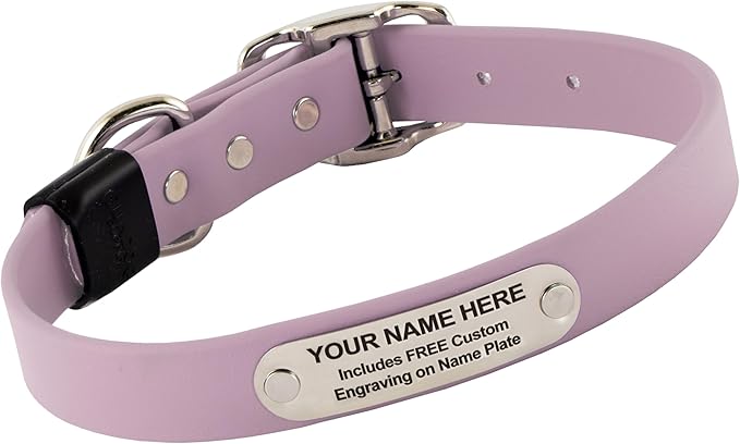 Biothane Custom Dog Collar – Waterproof, Stink-Proof Personalized Collar with Name &amp; Phone Number – Durable, Many Sizes and Colors – Assembled in USA (Lilac Purple)