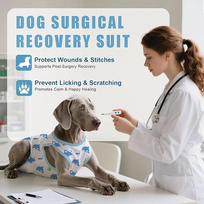 Recovery Suit for Dogs After Surgery, Professional Dog Surgical Suit for Female Spay, Male Neuter, E-Collar &amp; Cone Alternative Dog Onesie for Abdominal Wounds Skin Disease, Blue, XL