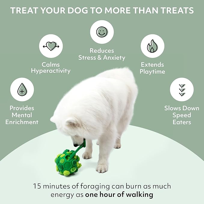 Reggie Forager Ball for Dogs | Mealtime Enrichment Toy | Reduces Boredom, Hyperactivity, Stress | Vet-Approved &amp; Ideal for All Ages, Breeds, and Sizes
