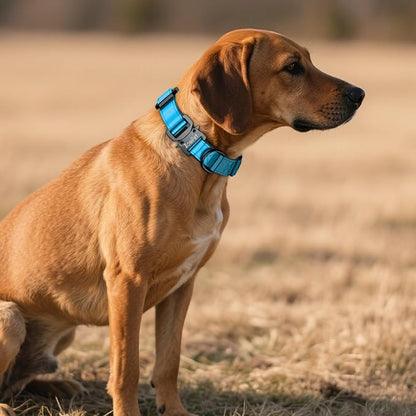 AirTag Dog Collar - Leather Dog Collar with Airtag Holder | IP68 Waterproof AirTag Holder with Metal Buckle, Comfortable GPS Dog Collars Tracker for Medium Large Dogs (Blue, XL)