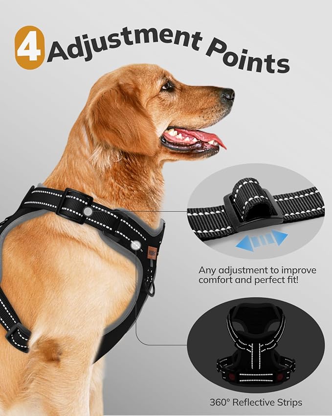 MIDOG No-Pull Dog Harness | Adjustable &amp; Reflective Pet Harness Leash Set for Small Medium Large Dogs Walking, Training| No Choke, Front Clip, Soft Padded Vest with Easy Control Handle - Black, M