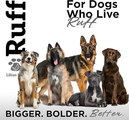 Ruff by Lillian Ruff Activated Charcoal Pet Shampoo – Deep Cleanser, Deodorizer, Stain Remover – Lemon Sage Scent, pH Balanced, Hydrate Dry Itchy Skin – Safe for Puppies &amp; Mature Dogs